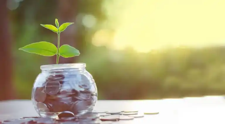 Healthcare Professional